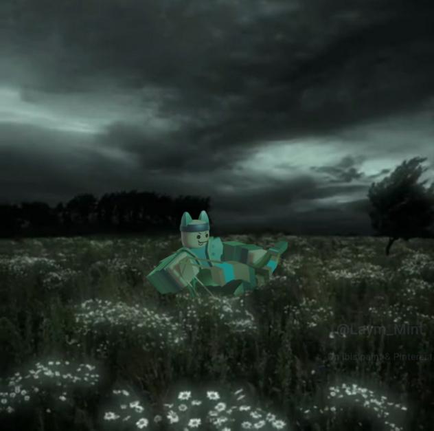 Slingshot is Every where Day #2