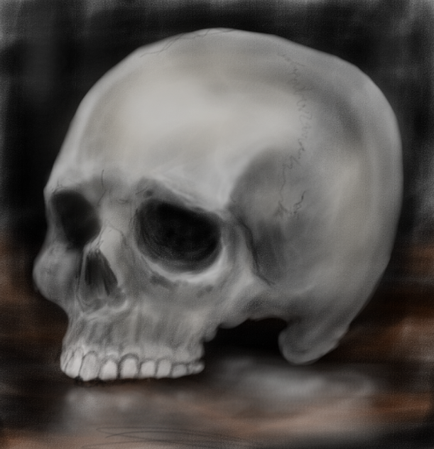 skull 1