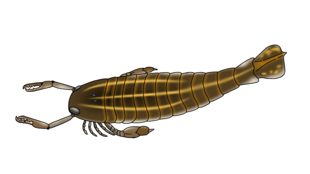 Jaekelopterus render