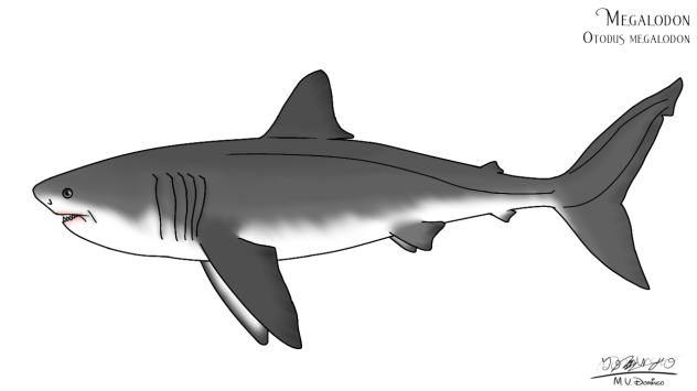 Megalodon revamp