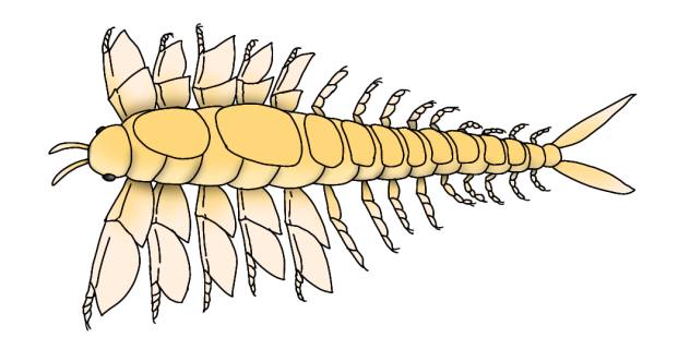 White Airopod render