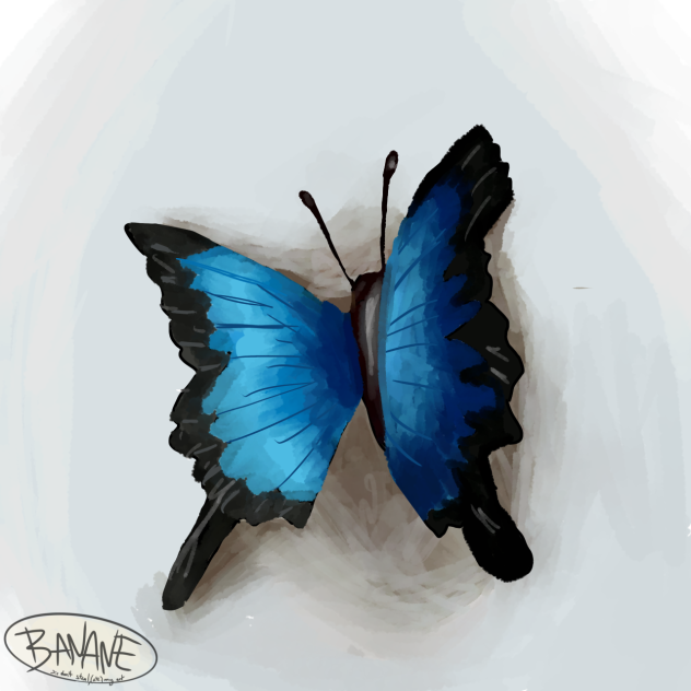 Realism pratice