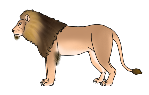 Asiatic Lion