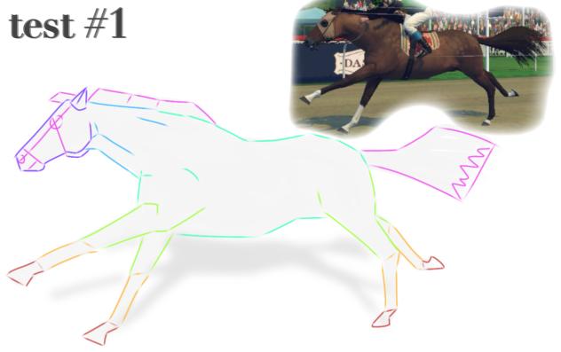 test #1 anatomy