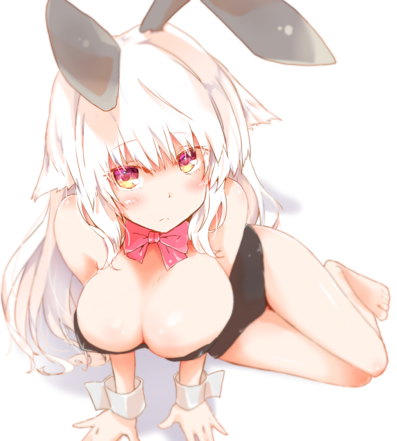 バニーシロちゃん2