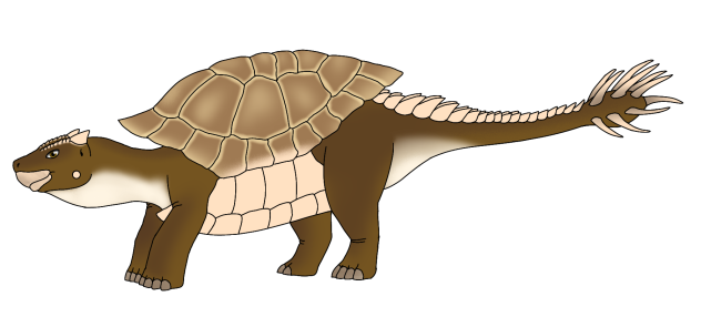 Macetail Turtle