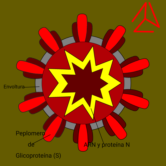 SARS COV-2
