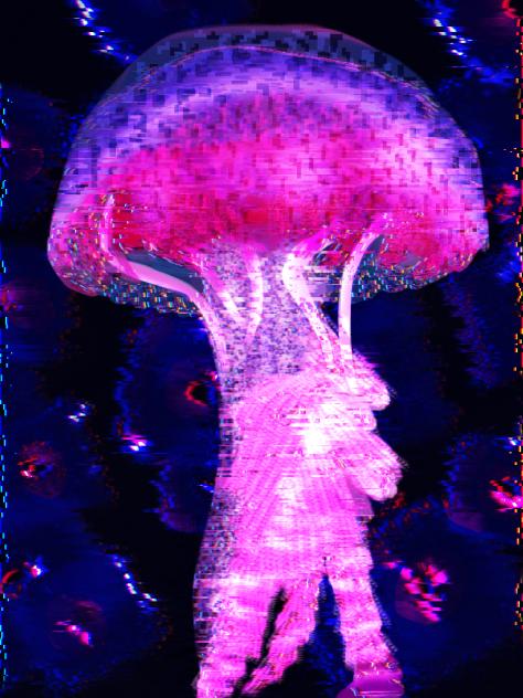 noisy pink jellyfish