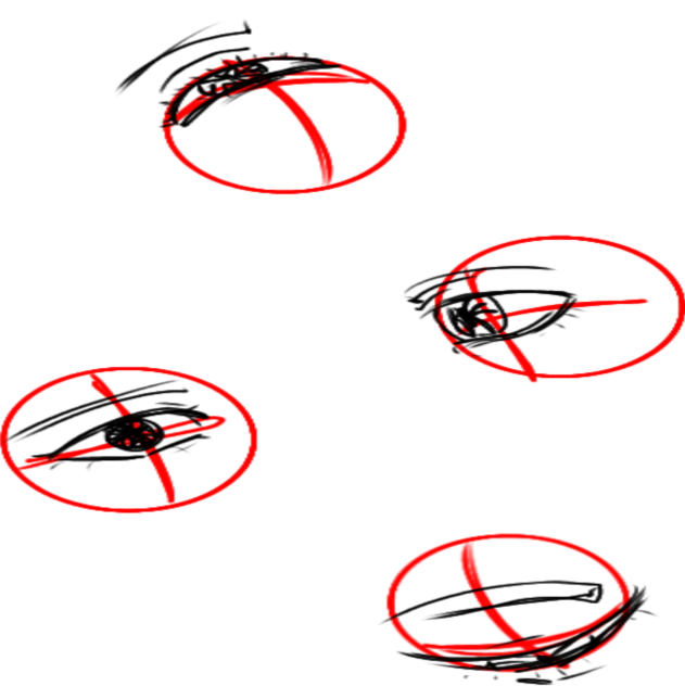 Some eye studies