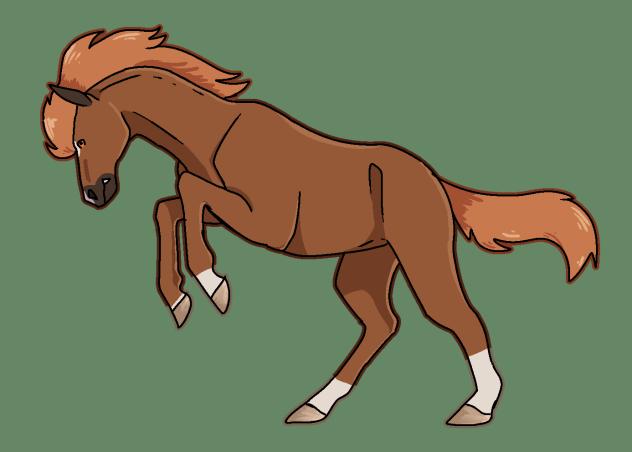 kelpie