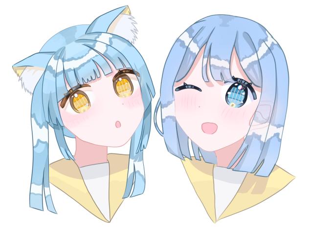 ✨