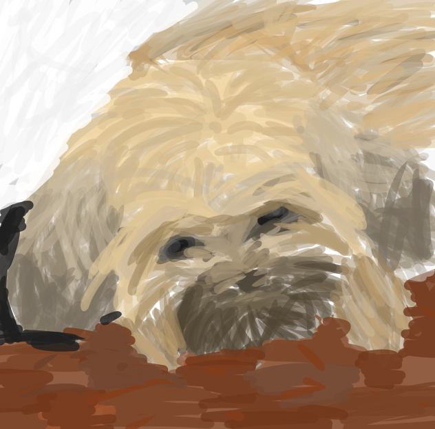 My dog - ibisPaint