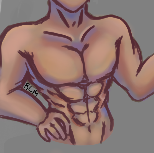 trying to draw a muscles