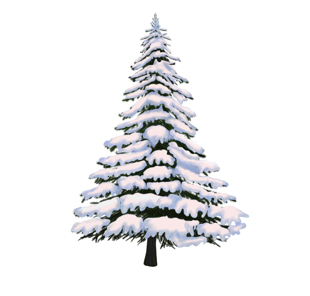 Pine tree with snow