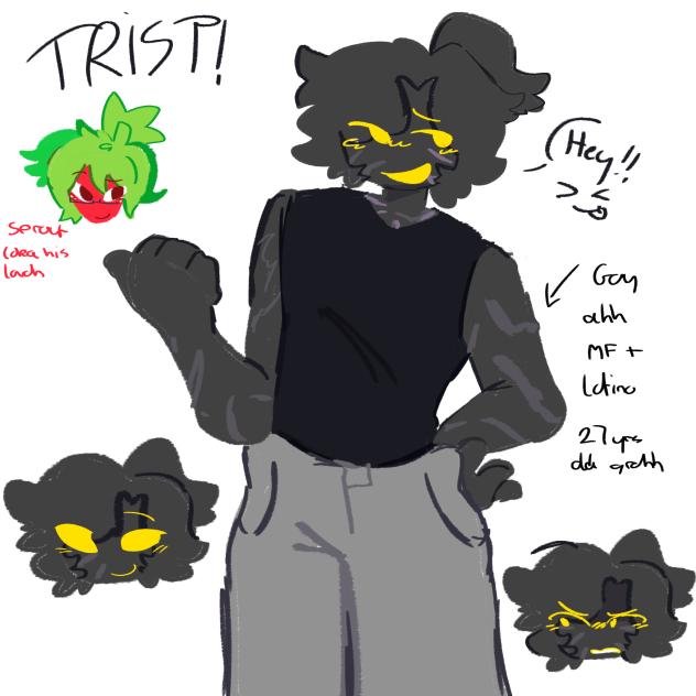 drew this gay oc, his names trist!
