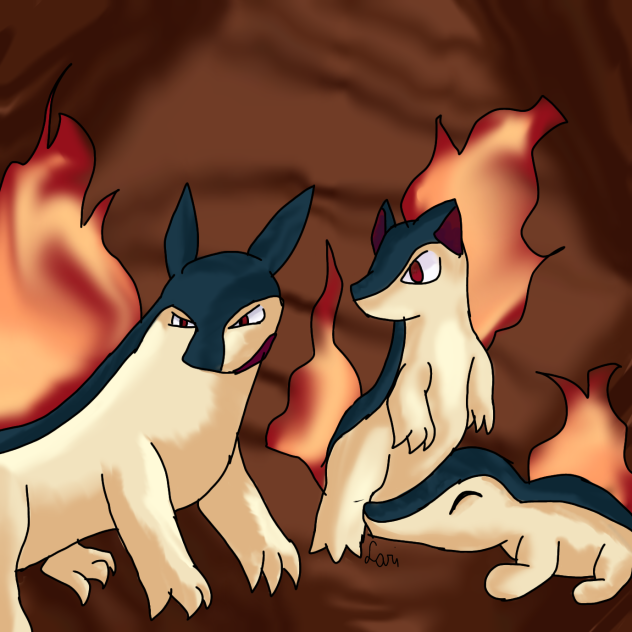 Typhlosion,Quilava e Cyndaquil