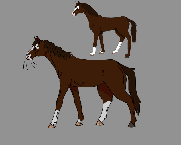 redrawing of my first digital horse art - ibisPaint