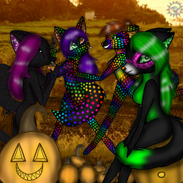 Pumpkin Patch