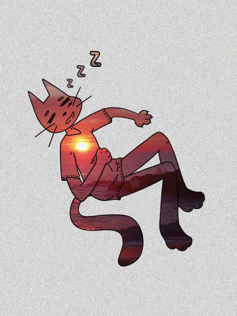 meow_sunset