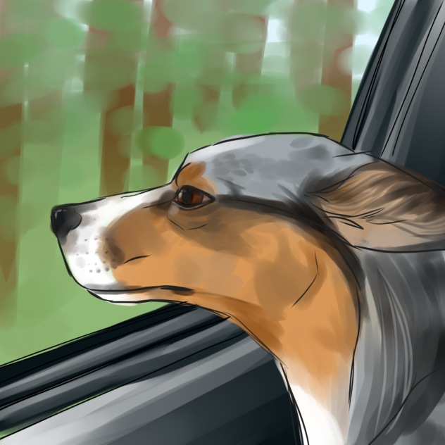 Car rides ✨⭐️☀️